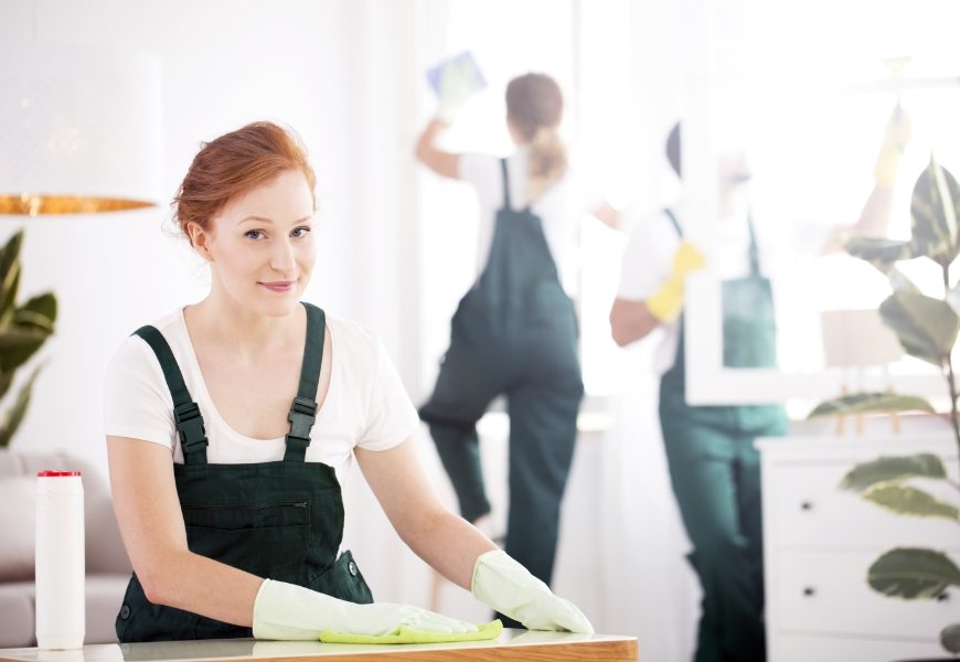 demo-attachment-303-cleaning-lady-dusting-table-PN2PRKW